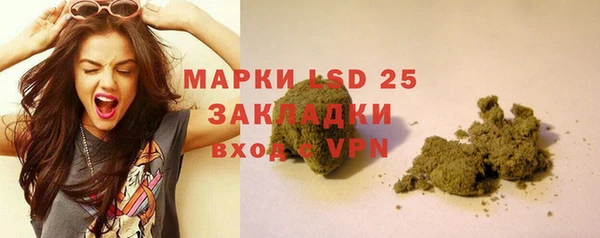 мяу мяу кристалл Гусь-Хрустальный