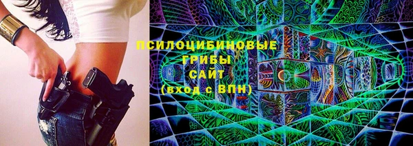 мяу мяу кристалл Гусь-Хрустальный