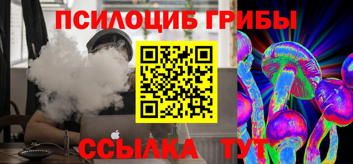 Галлюциногенные грибы Psilocybe Москва